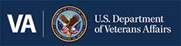 logo va veterans detox newington ct